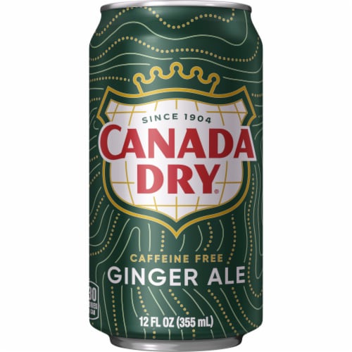 Canada Dry Ginger Ale Caffeine Free Soda Cans Perspective: top