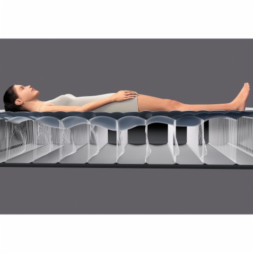 Intex queen premaire clearance raised airbed with pump