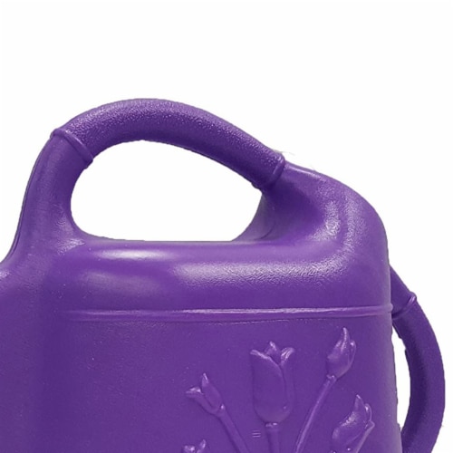 Union Products 63068 Indoor/Outdoor 2 Gallon Plastic Plant Watering Can, Purple Perspective: top
