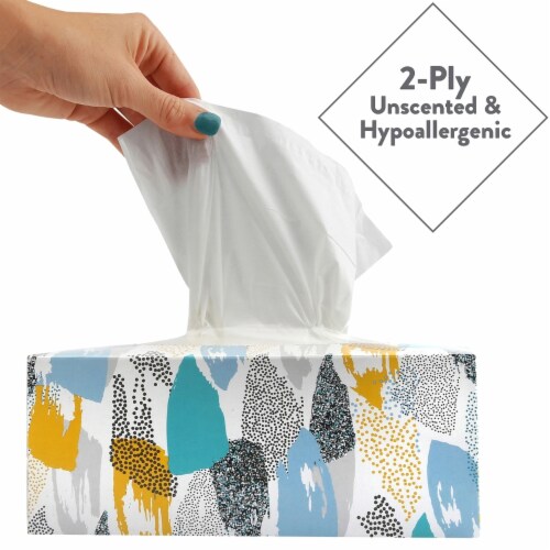 Member's Mark 2-Ply Unscented Facial Tissue (12 Count,160 tissues per box) Perspective: top