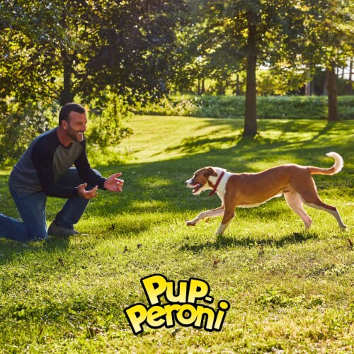 Pup-Peroni Original Bacon Flavor Dog Treats Perspective: top