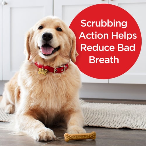 Milk-Bone Brushing Chews Daily Dental Dog Treats, Large, 8.1 Ounces, 6 Bones Per Bag Perspective: top
