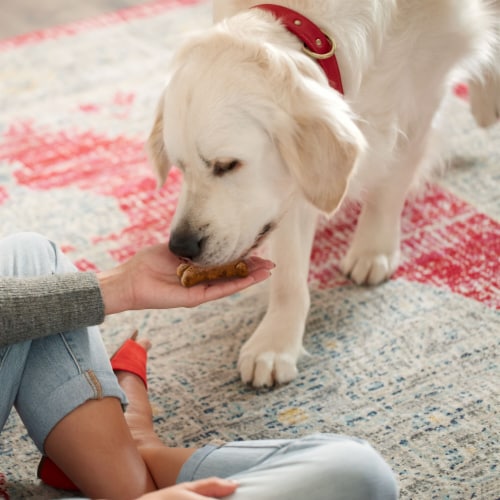 Milk-Bone GravyBones Dog Biscuits, Small Dog Treats Perspective: top