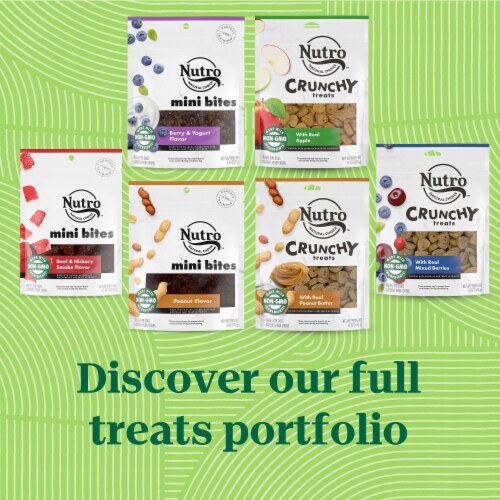 NUTRO Mixed Berries Crunchy Dog Treats Perspective: top