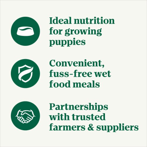 NUTRO PUPPY Gravy Tender Chicken Sweet Potato & Pea Recipe Grain Free Natural Wet Dog Food Bites Perspective: top