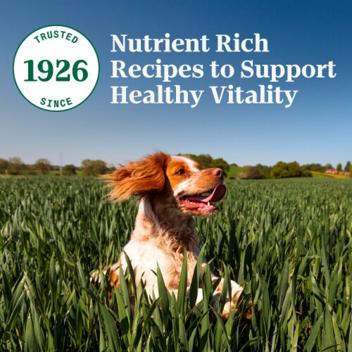 Nutro Natural Choice Small Breed Adult Dry Dog Food Chicken and Brown Rice Perspective: top