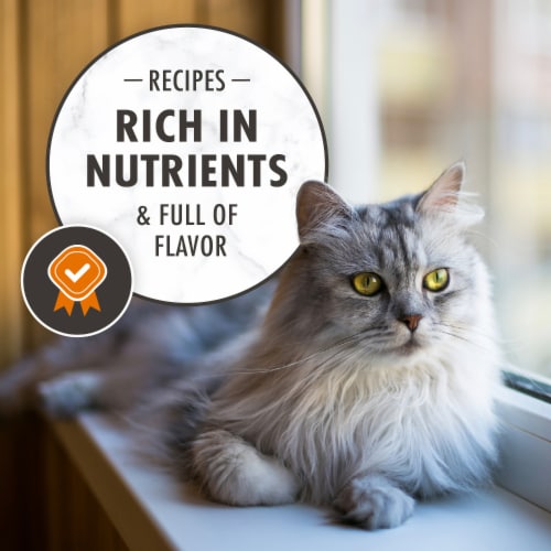 Nutro Wholesome Essentials Chicken Brown Rice Adult Dry Cat Food Perspective: top