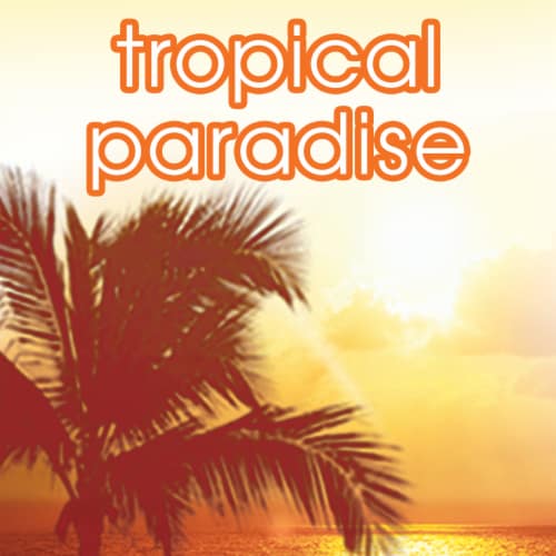 Suave Tropical Paradise Antiperspirant Deodorant Perspective: top