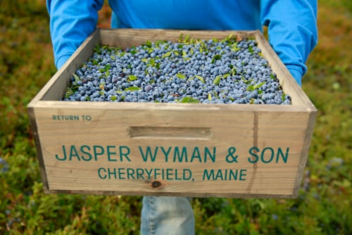 Wyman's® Frozen Wild Blueberries Perspective: top