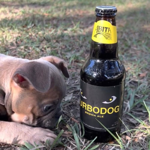 Abita Turbodog Brown Ale Craft Beer Bottles Perspective: top