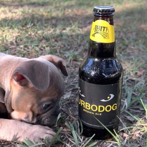Abita Turbodog Brown Ale Craft Beer Bottles Perspective: top