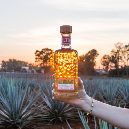 Olmeca Altos Tequila Reposado Perspective: top