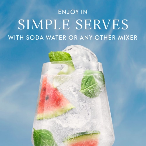 Grey Goose Watermelon & Basil Vodka Perspective: top