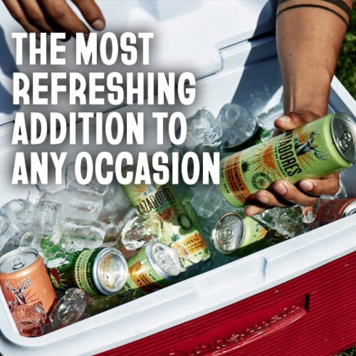 CAZADORES Ready-to-Drink Fiesta Gluten Free Cocktail Variety Pack Perspective: top