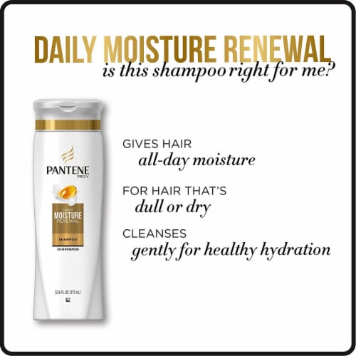 Pantene Pro-V Daily Moisture Renewal Shampoo Perspective: top