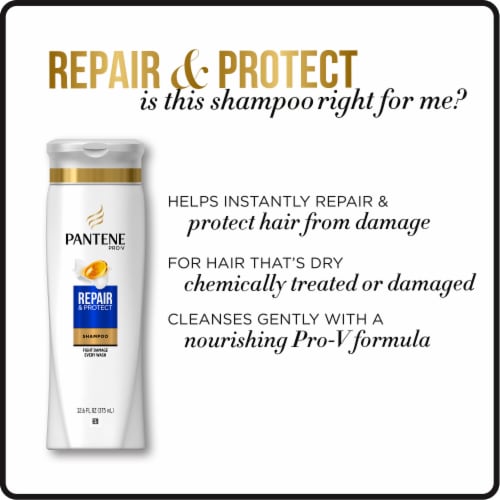 Pantene Pro-V Repair & Protect Shampoo Perspective: top
