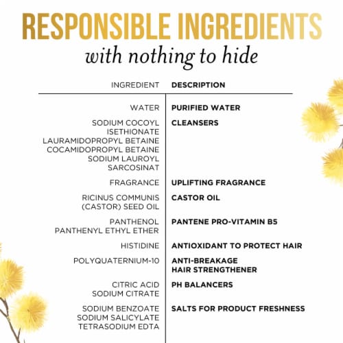 Pantene Sulfate Free Shampoo Hair Strengthening Anti Frizz Damage Repair Shampoo with Castor Oil Perspective: top