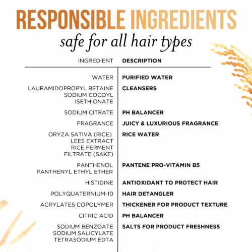 Pantene Pro-V Unbreakable Lengths Rice Water Shampoo Perspective: top