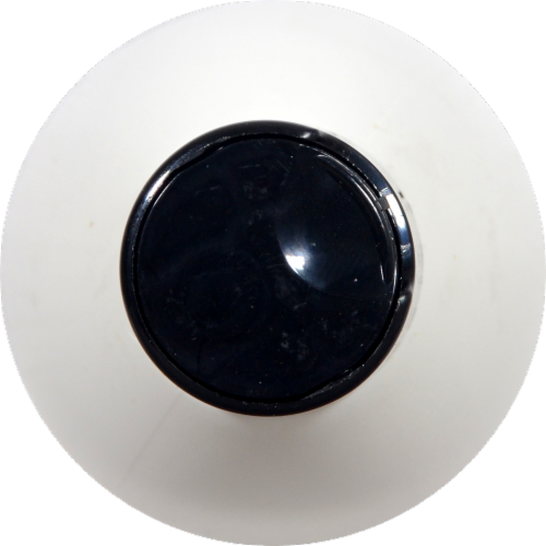 ShiKai Color Care Shampoo Perspective: top