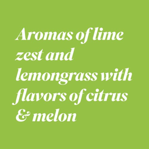 Bota Mini Sauvignon Blanc White Wine Perspective: top