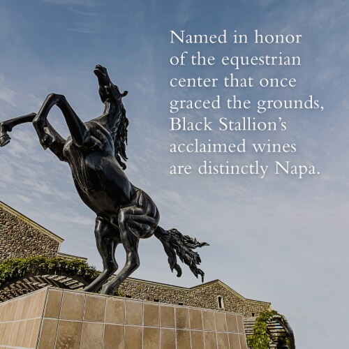 Black Stallion Santa Lucia Highlands Pinot Noir Red Wine, California, 750mL, 14.5% ABV Perspective: top