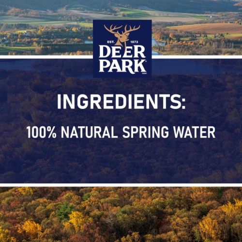 Deer Park 100% Natural Spring Water Jug Perspective: top