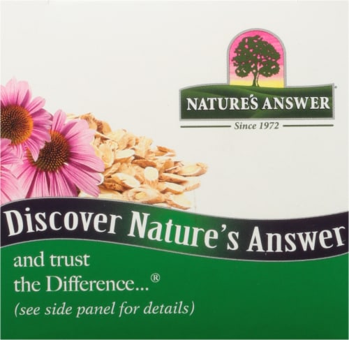 Nature's Answer Echinacea With Astragalus Herbal Blend Supplement Perspective: top