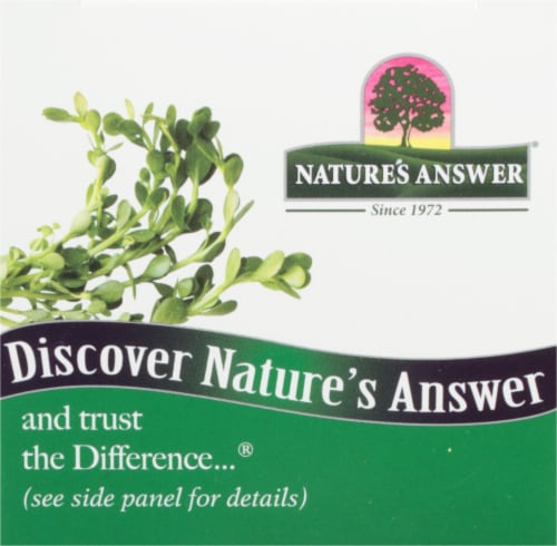 Nature's Answer Bacopa Vegetarian Capsules 500mg Perspective: top