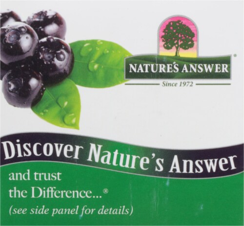 Natures Answer Bilberry Standardized Herbal Supplement Perspective: top