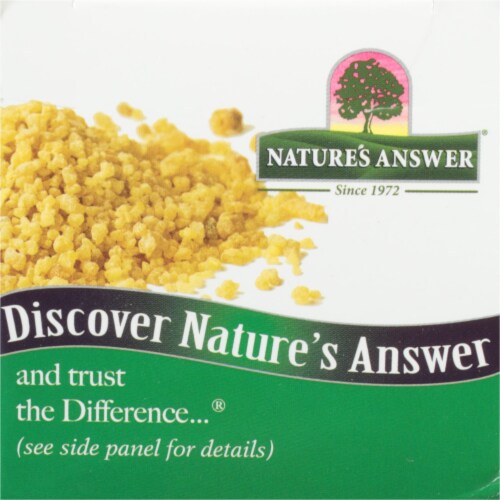 Nature's Answer Boswellia Vegan Standardized Herbal Supplement 400mg Perspective: top