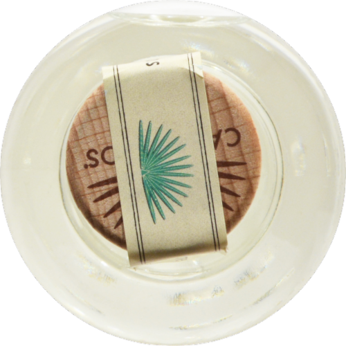 Casamigos Blanco Taquila Perspective: top