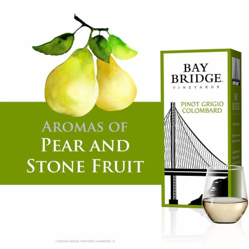 Bay Bridge Pinot Grigio / Colombard White Wine Perspective: top