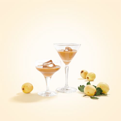 Amarula & Marula Fruit Cream Liqueur Perspective: top