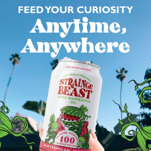 Strainge Beast® Natural & Organic Watermelon Sea Salt Lime & Mint Hard Kombucha Perspective: top