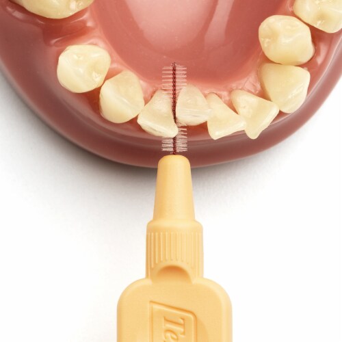 gum between teeth brushes
