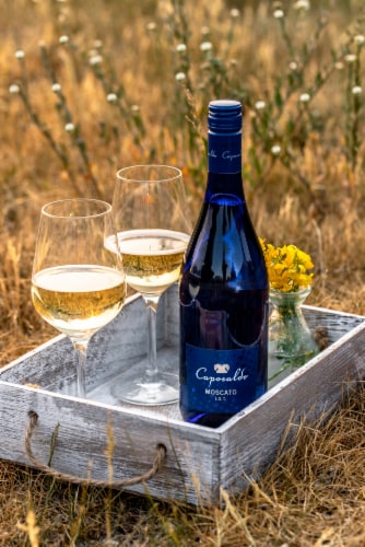Caposaldo Moscato Italian White Wine Perspective: top