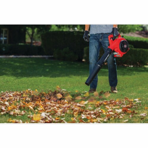 Troy Bilt 2-Cycle Blower Perspective: top