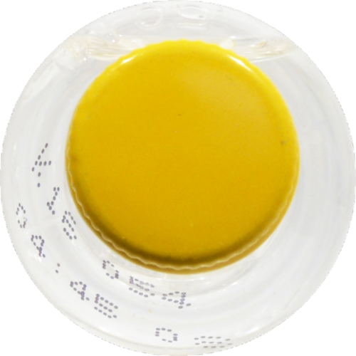New Amsterdam Pineapple Flavored Vodka Perspective: top