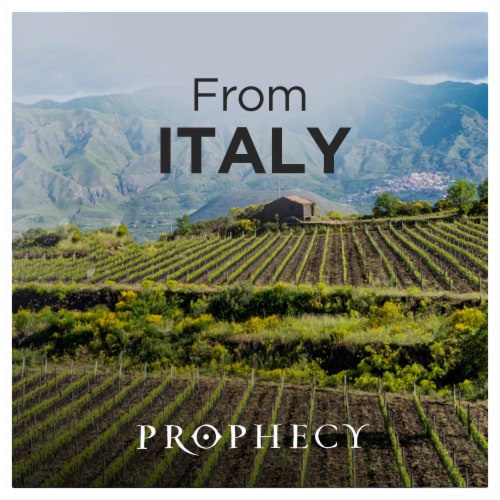 Prophecy Pinot Grigio California White Wine Perspective: top