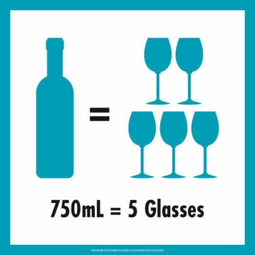 Ecco Domani 90 Calorie Pinot Grigio Italian White Wine Perspective: top
