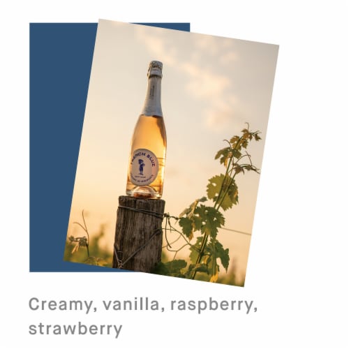 French Blue Brut Rose Sparkling France Wine Perspective: top
