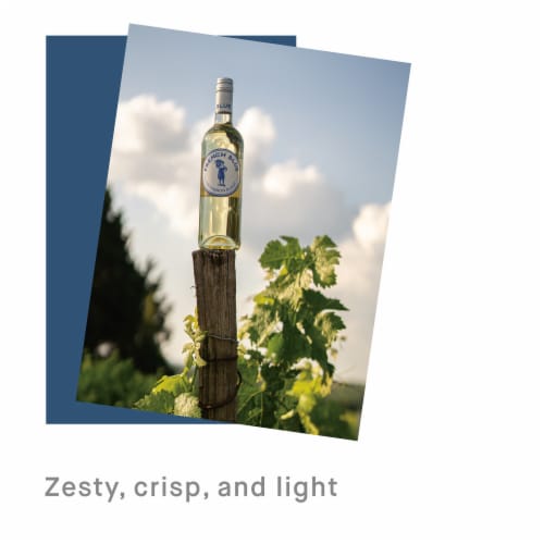 French Blue Sauvignon Blanc France White Wine Perspective: top