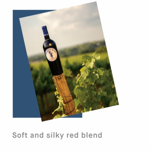 French Blue Bien Ensemble France Red Wine Perspective: top