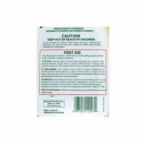 Citrus II 22oz Citrus Germicidal Cleaner Perspective: top