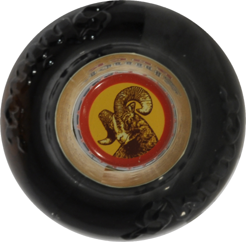 Shiner Bock Beer Perspective: top