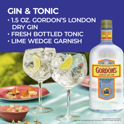 Gordon's London Dry Gin 750mL – Honest Booze Reviews