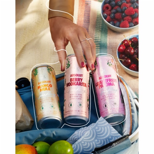 Absolut® Vodka Ready to Drink Canned Cocktails Perspective: top