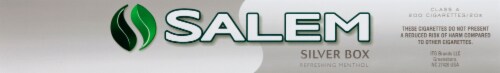 Salem Silver Box Refreshing Menthol Carton Perspective: top