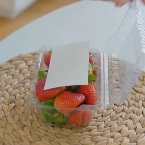 FreshPaper 8-Pack Produce Saver Sheets Perspective: top
