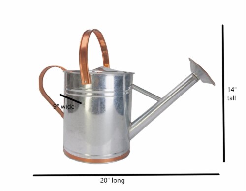 Panacea Copper/Silver 2 gal Galvanized Steel Watering Can Perspective: top